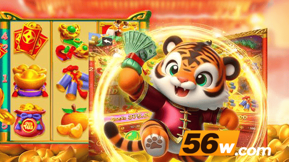 56W Rio de Janeiro - Licenses